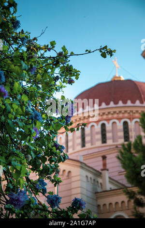 Thessaloniki-Greece, 17. September 2019: Nähe zu sehen, Blumen und Defokussierten eine Kuppel der Kirche Blick auf den Hintergrund Stockfoto