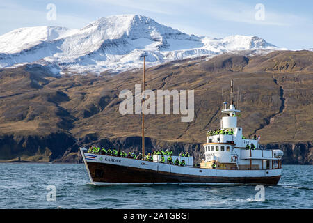 Whale Watching in Skjálfandi Bucht in der Nähe von Húsavík, Island. Stockfoto