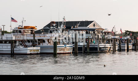 Bay Shore, New York, USA - 1. Juni 2019: Angeln Charter Boote mit Möwen über Fliegen angedockt und füllen sich mit Menschen, die bereit sind, Angeln an Capt zu gehen Stockfoto