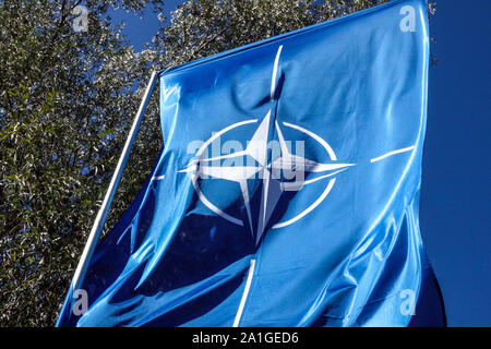 NATO-Flagge auf Fahnenstange gegen einen Baum, blauer Himmel Stockfoto