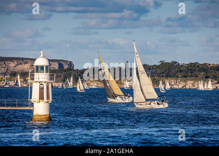 Yachten Racing im Hafen von Sydney Stockfoto