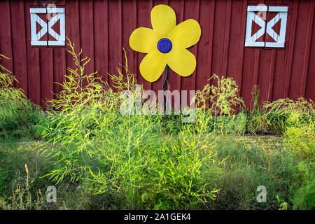 Gelbe daisy flower Kunst auf Seite der roten Scheune in Penrose, in der Nähe der Brevard, North Carolina, USA Stockfoto