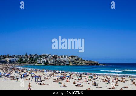 Sommer Massen am Bondi Beach Sydney Australien Stockfoto