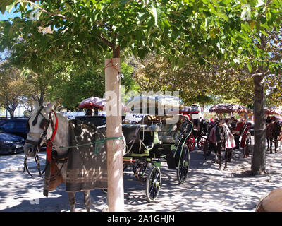 Reiten und Kutschfahrten im Park im Platz Spianada, Korfu Stadt, Kerkyra, Griechenland Stockfoto