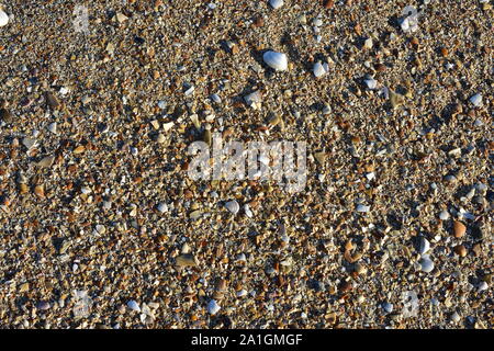 Detail der Sand hauptsächlich aus winzigen Muschel Partikel in verschiedenen Farben und Formen. Stockfoto