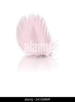Vector3d realistisch Fallende rosa Flamingo flauschige Twirled Feder mit Reflexion Closeup isoliert auf weißem Hintergrund. Design Template, Clipart von Stock Vektor