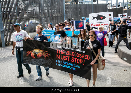 26. März 2017: März für Wassertiere Protestmarsch in Melbourne, Victoria, Australien Stockfoto
