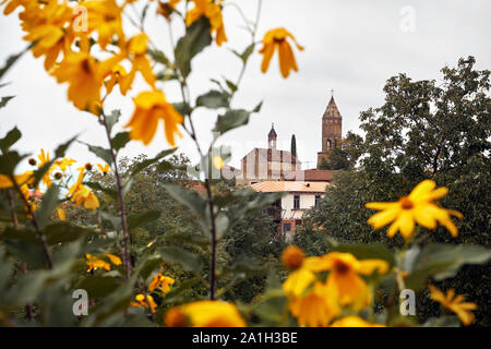 Alte traditionelle Kirche mit gelben Blüten in Signagi, Georgien gerahmt Stockfoto