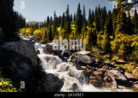 Wilder Fluss im Tal am sonnigen Tag in Kasachstan Stockfoto