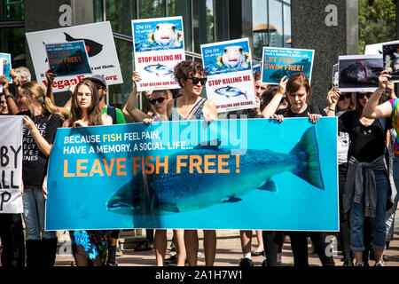 26. März 2017: März für Wassertiere Protestmarsch in Melbourne, Victoria, Australien Stockfoto