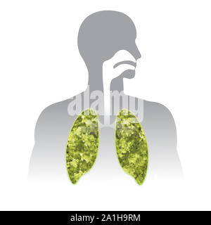 Frischen Atem. Grüne menschliche Lunge Abbildung info Grafik. Teile des menschlichen Körpers. Stockfoto