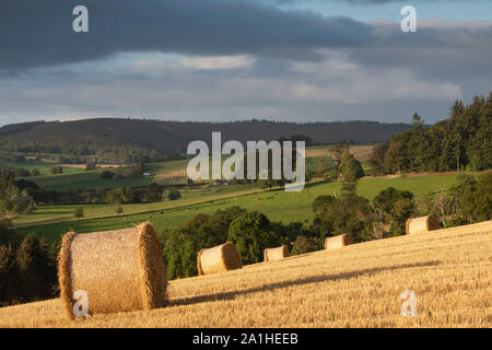 Strohballen sitzend in einem Feld mit Blick auf Ackerland in der Aberdeenshire Landschaft Stockfoto