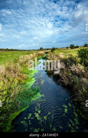 Der Fluss Brede in East Sussex auf seiner Reise von Sedlescombe zu Romney Marsh in East Sussex und Kent. Stockfoto