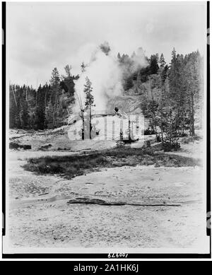 Schlammvulkan, Yellowstone National Park, von der Northern Pacific Railway erreicht über Gardiner Gateway Stockfoto