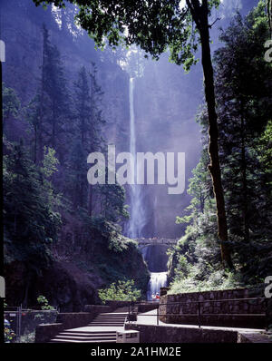 Multnomah Falls, einer von vielen Wasserfällen entlang des Columbia River Gorge, Oregon Stockfoto