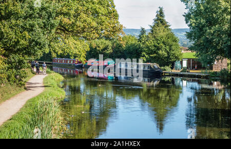 Lastkähne günstig auf der Grand Western Canal, Devon, England, UK. Stockfoto