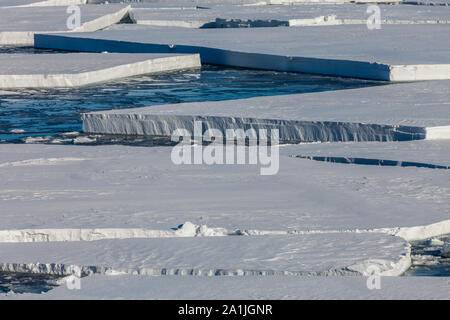 Eisschollen aus dem Auseinanderbrechen der Meereis vor der Ross Ice Shelf und im McMurdo Sound. In der Nähe von Scott Base und McMurdo Station, Antarktis Stockfoto