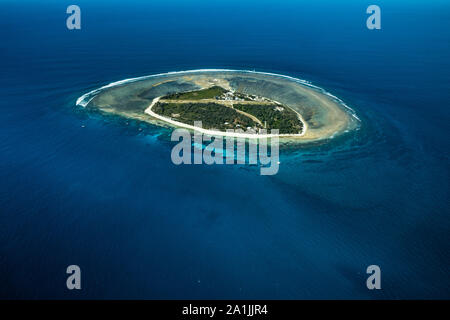 Lady Elliot Island, einer koralleninsel an der südlichen Spitze des Great Barrier Reef in QLD, Australia Stockfoto