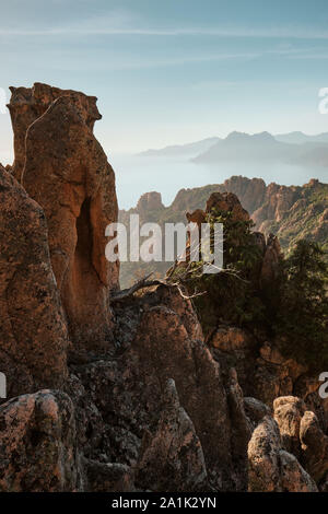 Die roten Granitfelsen Landschaft des UNESCO-Weltkulturerbes Felsbuchten von Piana/Calanques de Piana/Golf von Porto Korsika Frankreich Stockfoto