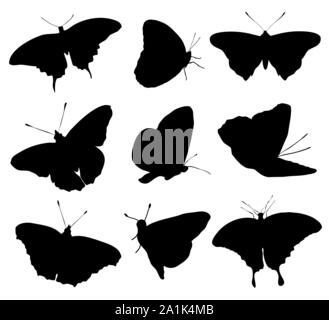 Silhouetten von buttefly auf weißem Hintergrund. Vector Illustration Stock Vektor