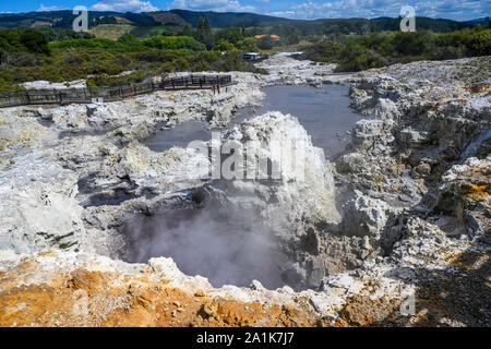 Tikitere, oder "Hell's Gate" ist eine geothermale Region und touristische arrtaction in Rotorua, Neuseeland. Es bietet, dampfende Schlammlöcher, Fumarolen und mehr. Stockfoto