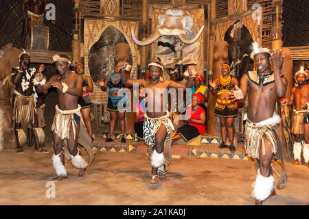 Zulu Truppe führen Sie in traditioneller Kleidung an der Shakaland Zulu Cultural Village, Eshowe, KwaZulu-Natal, Südafrika Stockfoto