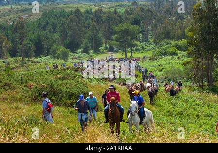 Eine Rapa Das Bestas, Sabucedo, Pontevedra, Galicien Stockfoto