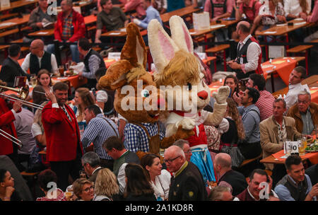 Stuttgart, Deutschland. 27 Sep, 2019. Die wasen Base läuft in einem Grandls Festzelt am Anfang der 174. Cannstatter Volksfest. Die "Wasen" ist das zweitgrößte Volksfest in Deutschland nach dem Oktoberfest in München und dauert vom 27. September bis 13. Oktober. Credit: Christoph Schmidt/dpa/Alamy leben Nachrichten Stockfoto