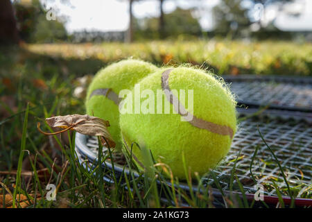 Zwei tennis Bälle auf einem schlägerkopf auf Gras in einem Low Angle View konzeptionelle von Sport und einem aktiven gesunden Lebensstil Stockfoto