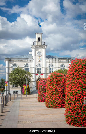 Ciechanow Rathaus. Ciechanow, Masowien, Polen. Stockfoto