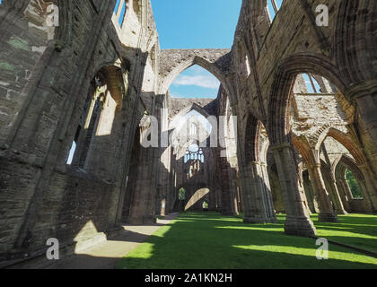 TINTERN, Großbritannien - ca. September 2019: Tintern Abbey (Abaty Tyndyrn in Walisisch) Ruinen Stockfoto