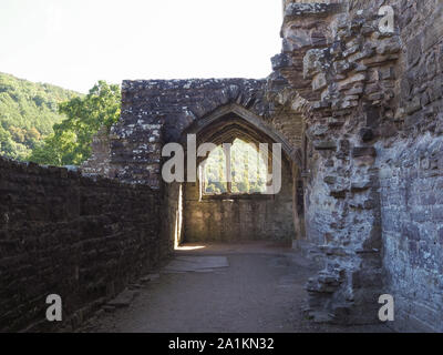 TINTERN, Großbritannien - ca. September 2019: Tintern Abbey (Abaty Tyndyrn in Walisisch) Ruinen Stockfoto