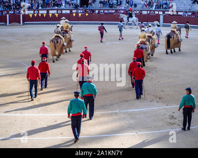 MADRID, Spanien - 22. SEPTEMBER 2019: Start einer Corrida (Paseíllo). Männer im alten Stil andalusische Kostüme auf der Plaza de Toros (stierkampfarena) de Las Ventas Stockfoto