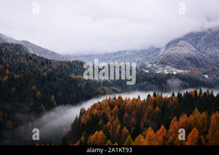 Der Nebel deckt den Fluss Stockfoto