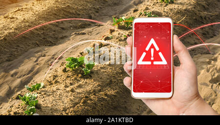Ein Telefon und ein Warnschild auf dem Hintergrund der jungen Triebe von Kartoffeln machen unter der Erde. Verwendung schädlicher Pestizide und Chemikalien, die in ag Stockfoto