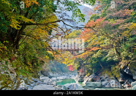 Iya Valley und Kazurabashi Weinstock Brücke, Tokushima, Shikoku, Japan Stockfoto