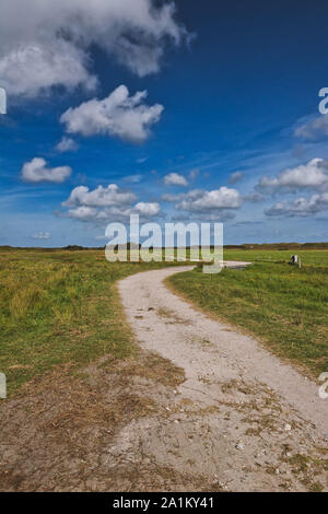 Blick auf den Weg durch wunderschöne Nationalparks in den Niederlanden auf der Insel Texel an einem sonnigen Sommertag Stockfoto