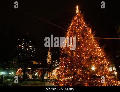 Boston Common Weihnachtsbaum Stockfoto