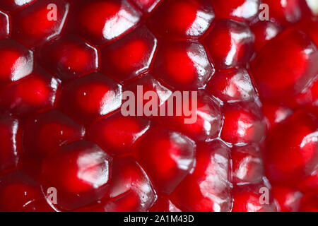 Granatapfel-Frucht-Samen, Makroaufnahme, Fokus auf Vordergrund Stockfoto