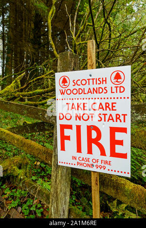 Brandschutz neben einer Spur im Wald in Dumfries und Galloway, Schottland, Großbritannien Stockfoto