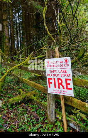 Brandschutz neben einer Spur im Wald in Dumfries und Galloway, Schottland, Großbritannien Stockfoto