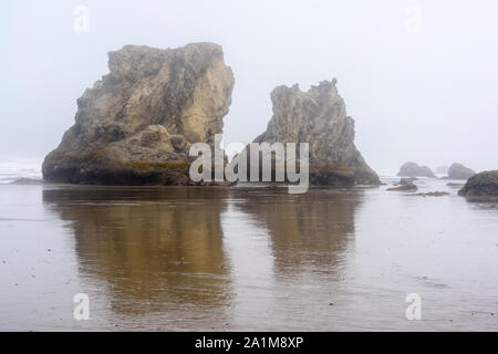 Meer Felsen auf Bandon Strand im Nebel, Bandon, Oregon, USA Stockfoto