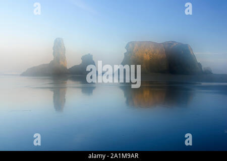 Meer Felsen auf Bandon Strand bei Ebbe in der Morgendämmerung, Bandon, Oregon, USA Stockfoto