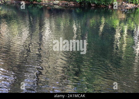 Reflexionen Stockfoto