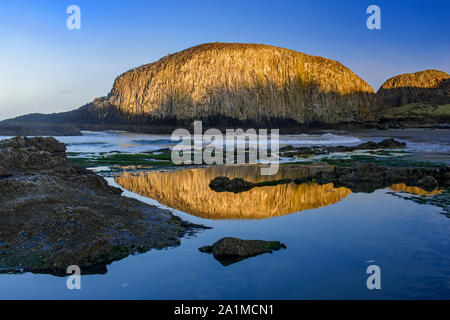 Seal Rocks Strand bei Ebbe, Seal Rock State Park, Oregon, USA Stockfoto