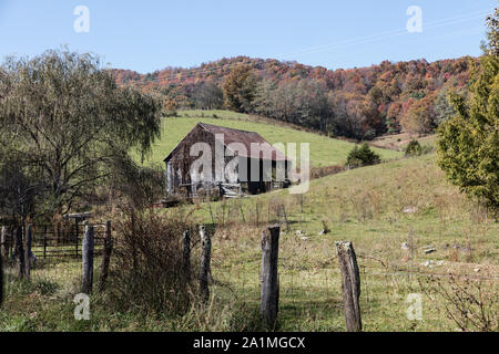 Alte Scheune von Reben in Monroe County, West Virginia vorgedrungen. Stockfoto