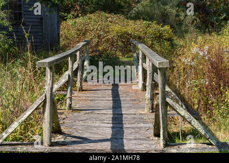 Alten rustikalen verwitterten hölzernen Brücke mit Geländer über einen Stream mit Laub und Wildblumen führt der Weg in den Wald Stockfoto