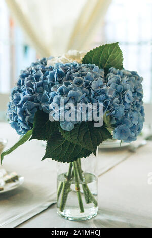 Ein Blumenstrauß der Blaue Garten Hortensien in einer Vase auf dem Tisch als Dekoration. Stockfoto