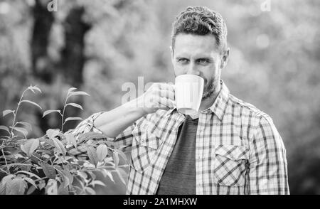 Vollständige blatt Tee. Hervorragender Geschmack. Genießen Sie heiße Getränke. Natürliche trinken. Gesunde Lebensweise. Ich bevorzuge grünen Tee. Erfrischendes Getränk. Man bärtige Kaffee Bauer halten Becher Natur Hintergrund. Grüner Tee Plantage. Stockfoto