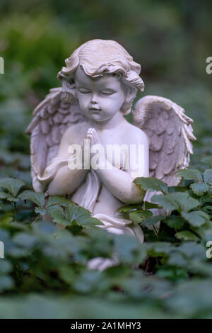 Statue von ein wenig beten Engel als Dekoration auf einem Grab bedeckt mit Efeu Stockfoto